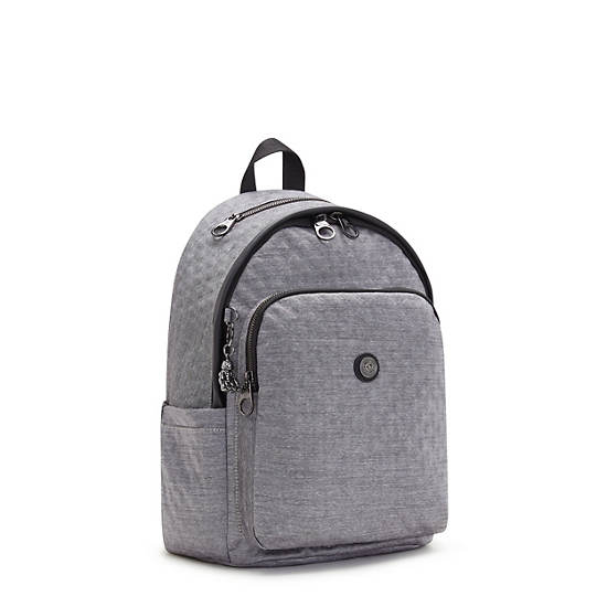 Kipling Delia Classic Ryggsekk Sølv | NO 1660WN